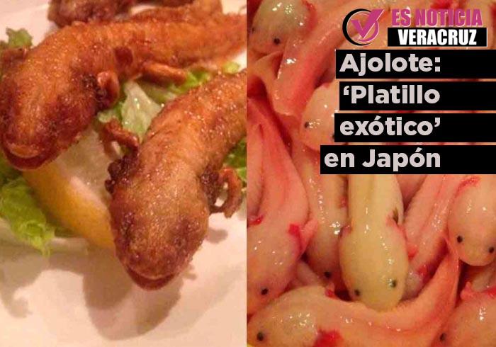 Restaurante De Comida Exótica En Japón Sirve Ajolotes Fritos Como Parte De Su Menú Es Noticia 2627